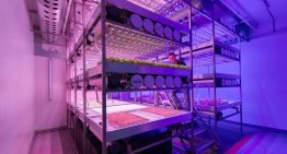 Themabijeenkomst Warme Groenteplanten bij BrightBox