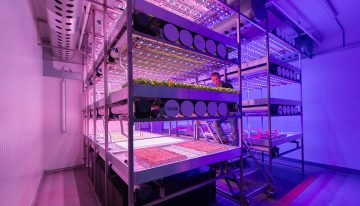 Themabijeenkomst Warme Groenteplanten bij BrightBox