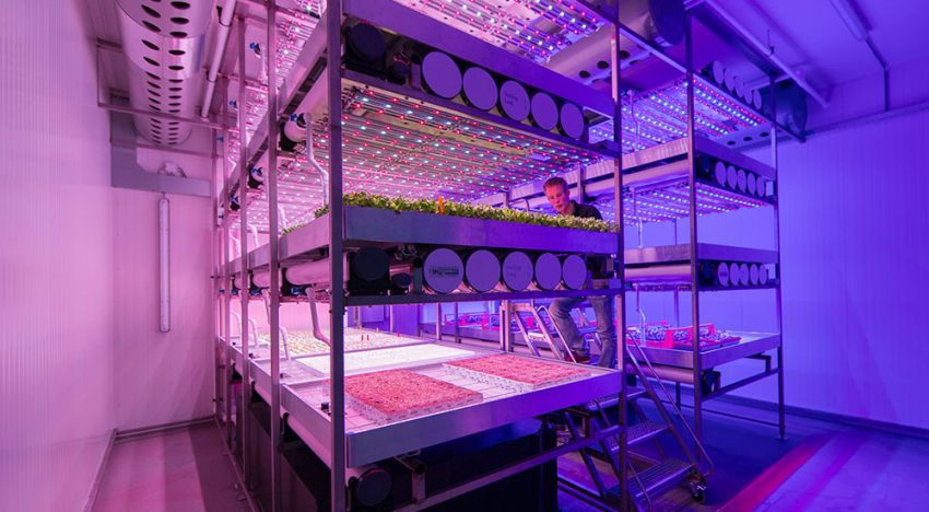 Themabijeenkomst Warme Groenteplanten bij BrightBox