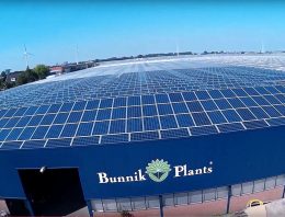 Bunnik Plants stapt over op zonne-energie