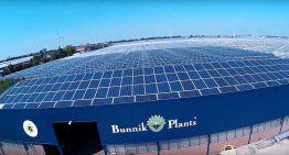 Bunnik Plants stapt over op zonne-energie