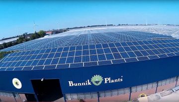 Bunnik Plants stapt over op zonne-energie
