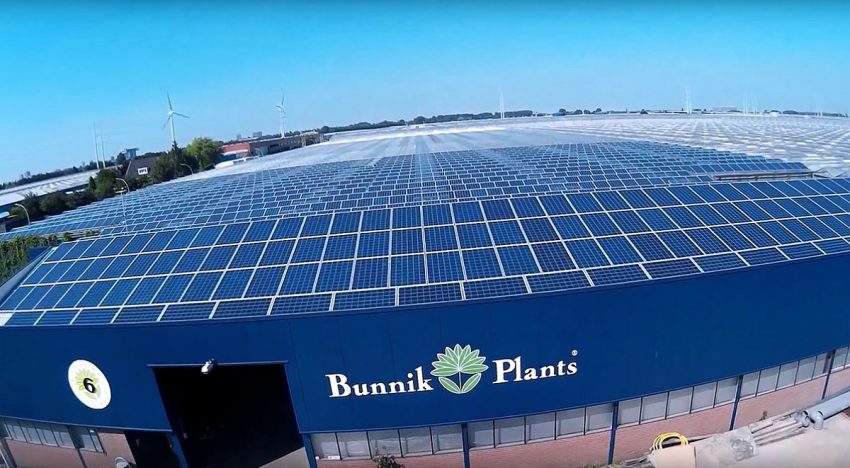 Bunnik Plants stapt over op zonne-energie Bunnik Plants stapt over op zonne-energie