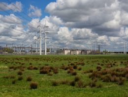 Glastuinbouw gaat voor fossielvrije productie in 2040