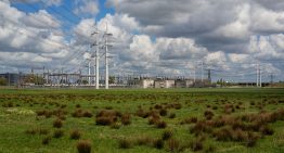 Klimaatneutrale glastuinbouw is mogelijk in 2050