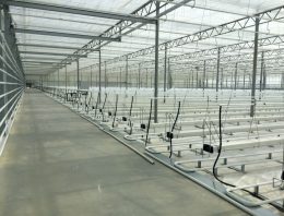 Certhon levert turn-key glastuinbouwproject in Roemenië