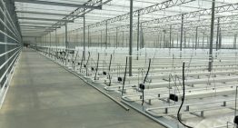 Certhon levert turn-key glastuinbouwproject in Roemenië