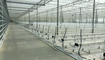 Certhon levert turn-key glastuinbouwproject in Roemenië