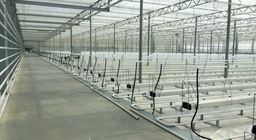 Certhon levert turn-key glastuinbouwproject in Roemenië