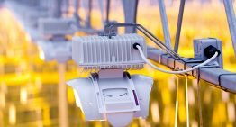 Duurzamer belichten met gelijkspanning