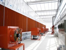 Recordopbrengst tomaten in Japans onderzoeksproject