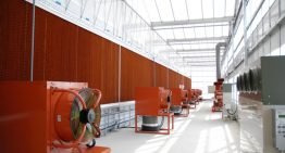 Recordopbrengst tomaten in Japans onderzoeksproject