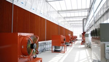 Recordopbrengst tomaten in Japans onderzoeksproject