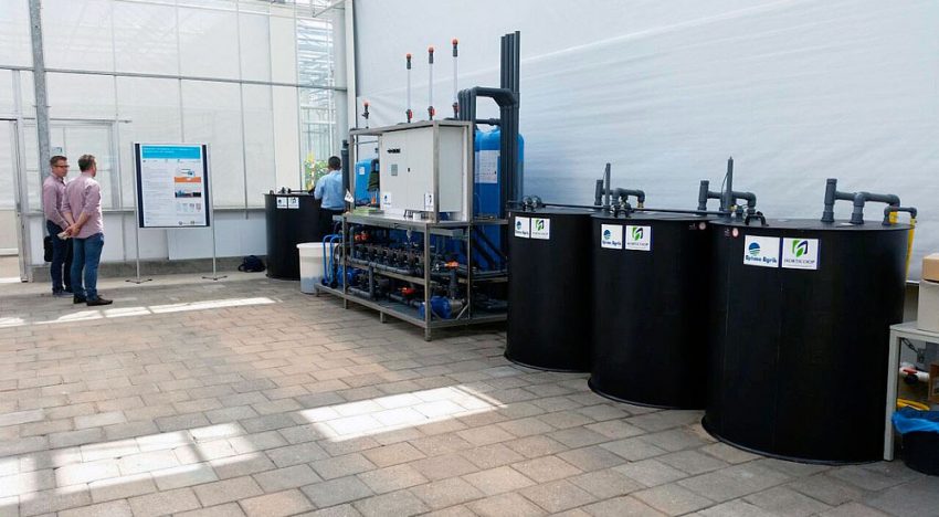 Horticoop stoot groothandelsactiviteiten grotendeels af