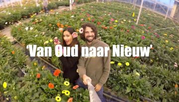 Eerste Jungle Talks van 2016 start ‘live’