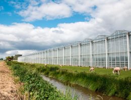 Belgische glastuinbouw bestudeert voorbeelden Nederlandse geothermie