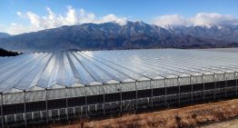 KUBO realiseert aardbevingsbestendige kas in Japan