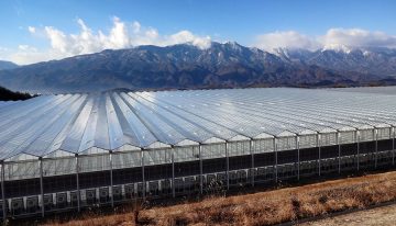 KUBO realiseert aardbevingsbestendige kas in Japan