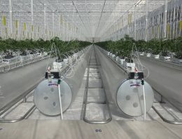 Chinezen bestellen Ultra Clima-kas bij Kubo