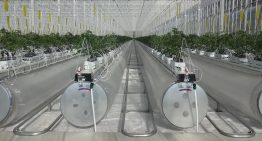 Chinezen bestellen Ultra Clima-kas bij Kubo