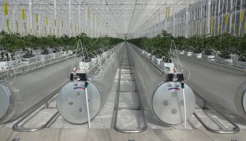 Chinezen bestellen Ultra Clima-kas bij Kubo