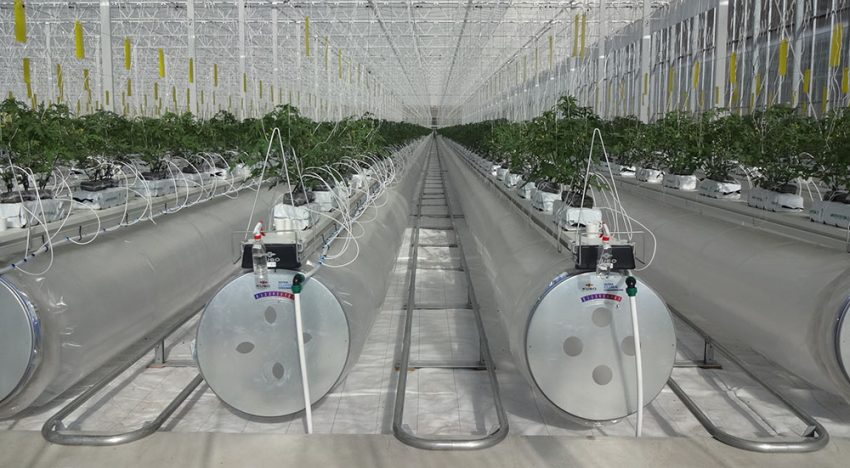 Chinezen bestellen Ultra Clima-kas bij Kubo