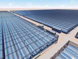 Kubo bouwt 190 hectare solarkassen in Oman
