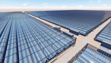 Kubo bouwt 190 hectare solarkassen in Oman