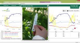 LetsGrow introduceert Photo en Data app