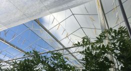 NEN organiseert bijeenkomst nieuwe meetmethoden van optische eigenschappen