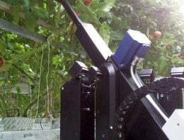 Priva bladplukrobot gerealiseerd in co-creatie met telers