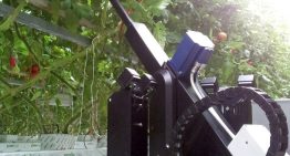 Priva bladplukrobot gerealiseerd in co-creatie met telers