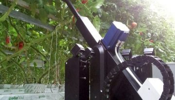 Priva bladplukrobot gerealiseerd in co-creatie met telers