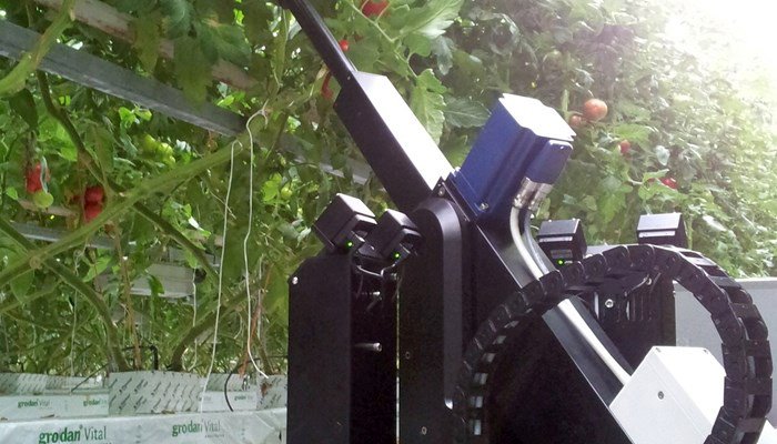 Priva bladplukrobot gerealiseerd in co-creatie met telers