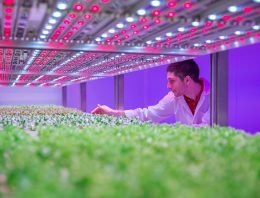 Priva systemen regelen klimaat en watergift in GrowWise Center