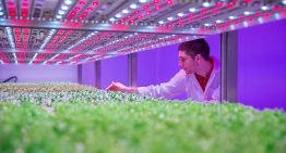 Priva systemen regelen klimaat en watergift in GrowWise Center