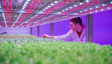 Priva systemen regelen klimaat en watergift in GrowWise Center