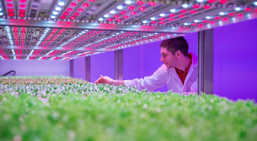 Priva systemen regelen klimaat en watergift in GrowWise Center