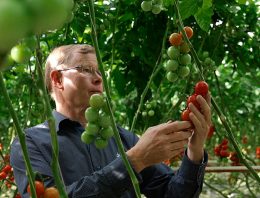 Priva brengt visie topondernemers tuinbouw in beeld