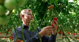 Priva brengt visie topondernemers tuinbouw in beeld