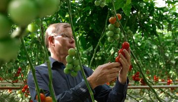 Priva brengt visie topondernemers tuinbouw in beeld