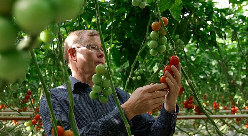 Priva brengt visie topondernemers tuinbouw in beeld