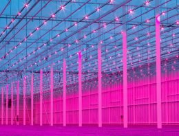 Glastuinbouw in RTL7-programma Doe Maar Duurzaam!