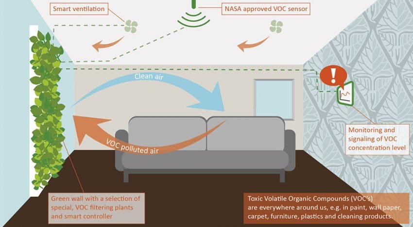 Consortium werkt aan plantenwand voor actieve luchtzuivering