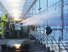 ‘Schoon starten’ basisvoorwaarde voor gezonde bedrijfsvoering
