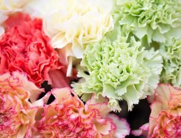 Liquidseal meest innovatieve MKB bedrijf in Agro & Food