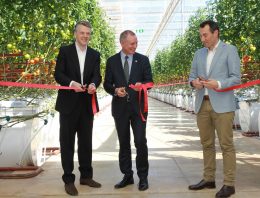 Eerste 20 hectare van Sundrop Farms officieel geopend