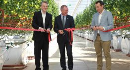 Eerste 20 hectare van Sundrop Farms officieel geopend