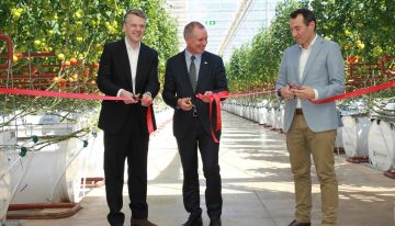 Eerste 20 hectare van Sundrop Farms officieel geopend