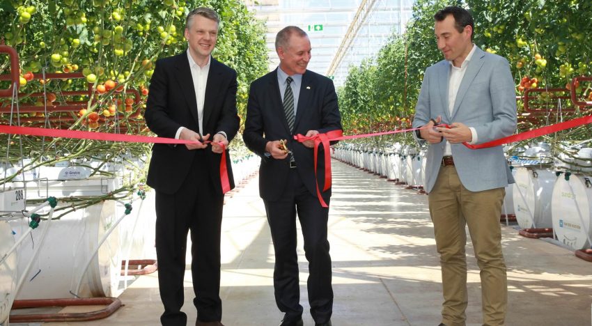 Eerste 20 hectare van Sundrop Farms officieel geopend